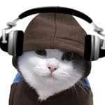 Pilar Montiel avatar